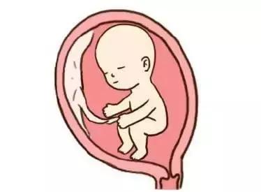 b超检查对胎儿有影响吗,b超检查胎儿头大怎么回事