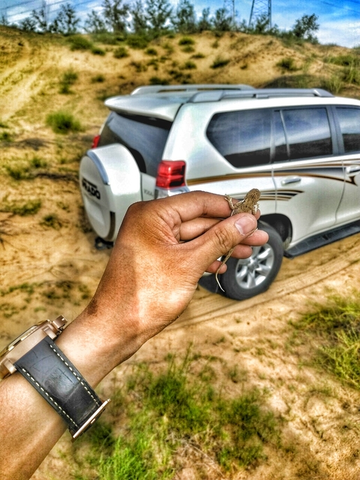 背着媳妇花30万买了台二手普拉多豁沙子，差点没被骂死！