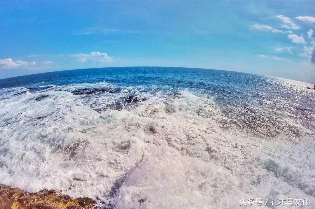 花木马亲子摄影,花木马