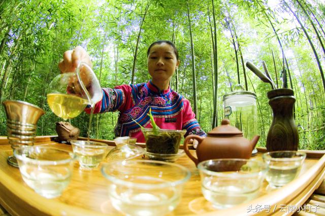 云南玉溪峨山彝人谷万亩竹海竹炭,彝人谷竹海攻略