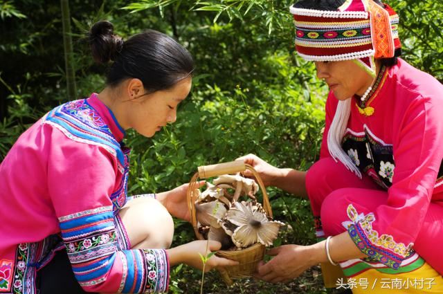 云南玉溪峨山彝人谷万亩竹海竹炭,彝人谷竹海攻略