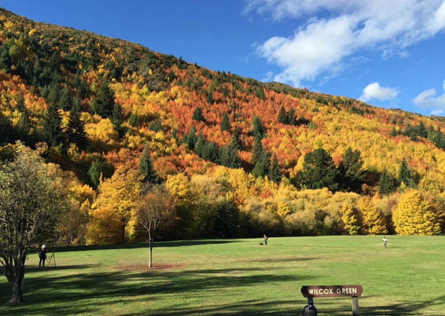 新西兰南岛的冬天,新西兰南岛秋天最佳时间