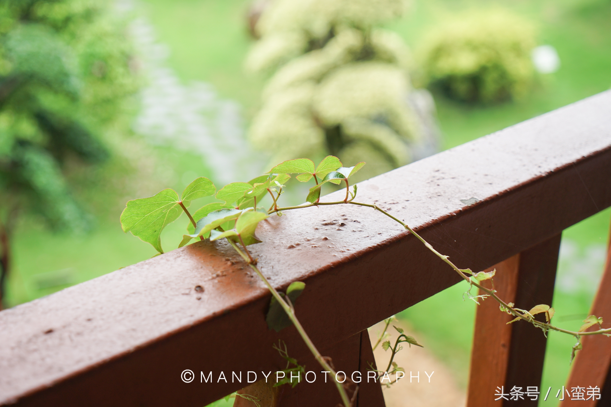 广州周边不为人知的宝藏景点,广州水上乐园旅游景点推荐