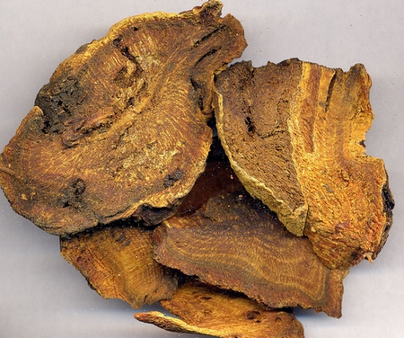 大黄外用的功效与作用,如何辨别大黄的功效