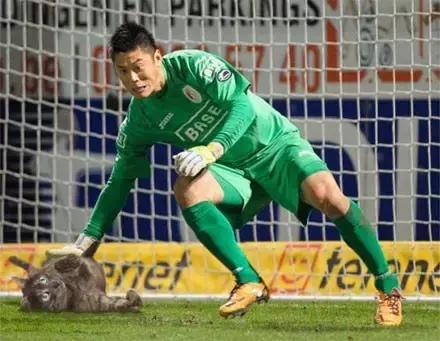 网友把足球PS成猫咪,毫无违和感!看什么看,没猫你踢什么球!