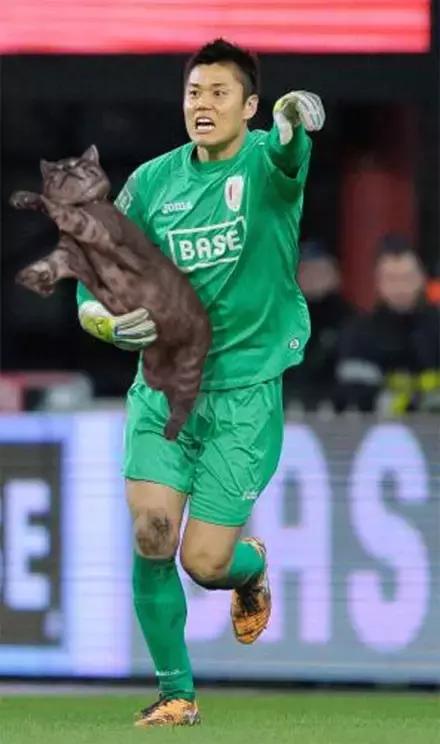 网友把足球PS成猫咪,毫无违和感!看什么看,没猫你踢什么球!