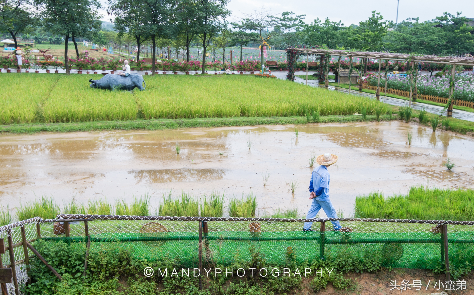 广州周边不为人知的宝藏景点,广州水上乐园旅游景点推荐