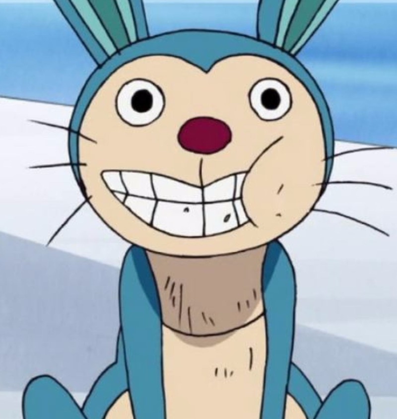 海贼王四圣兽的顺序,海贼王吉祥物排名