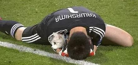 网友把足球PS成猫咪,毫无违和感!看什么看,没猫你踢什么球!