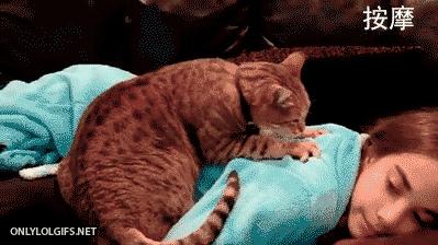 网友把足球PS成猫咪,毫无违和感!看什么看,没猫你踢什么球!