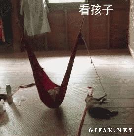 网友把足球PS成猫咪,毫无违和感!看什么看,没猫你踢什么球!