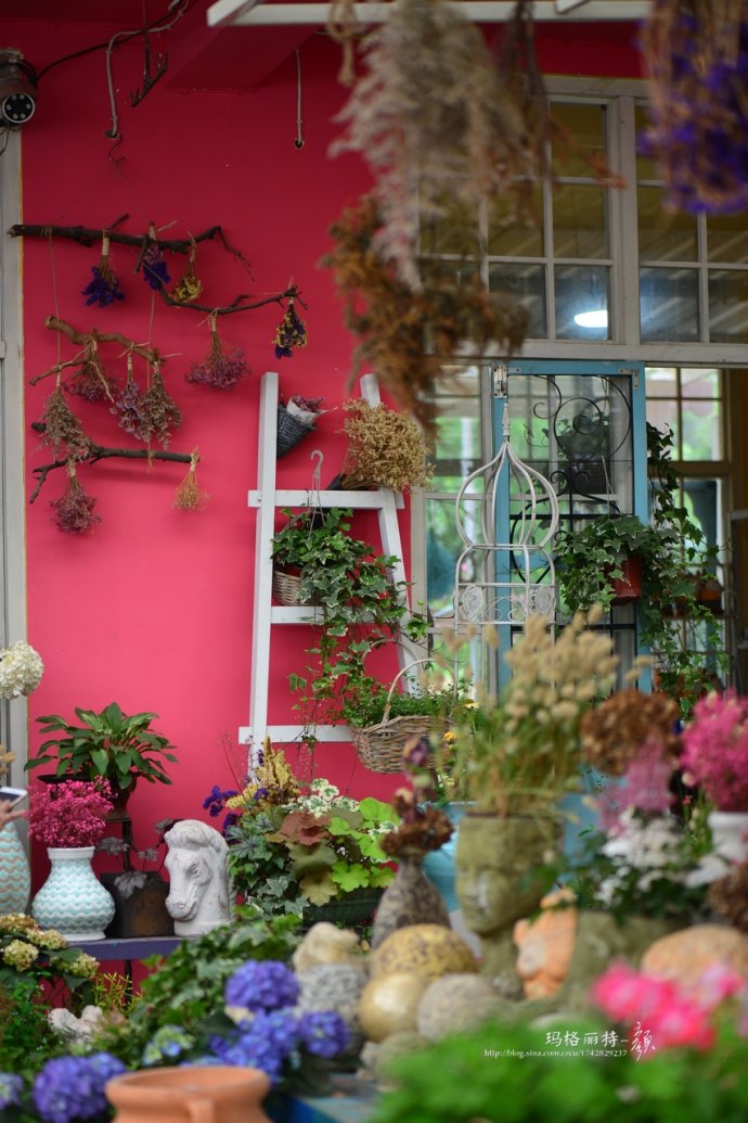 花园拜访,成都玛莉亚色彩花园电话