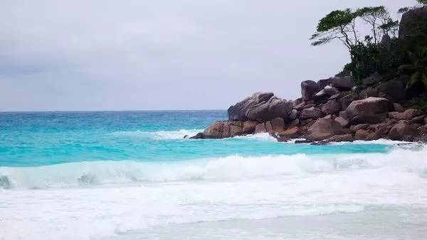 去塞舌尔用不用护照,塞舌尔护照免签国2024