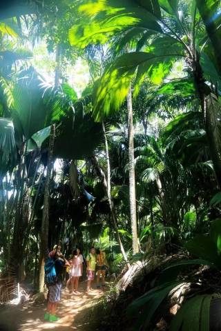 去塞舌尔用不用护照,塞舌尔护照免签国2024