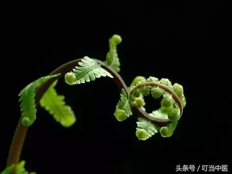 中药颗粒剂型是怎么制成的,中药颗粒剂的正确服用方法