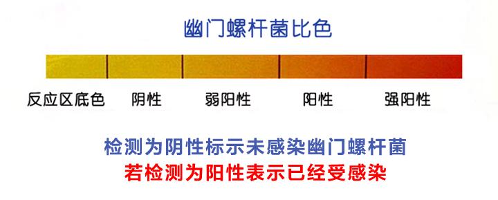 感染了幽门螺旋杆菌3招教你根除,感染了幽门螺旋杆菌三招教你根除