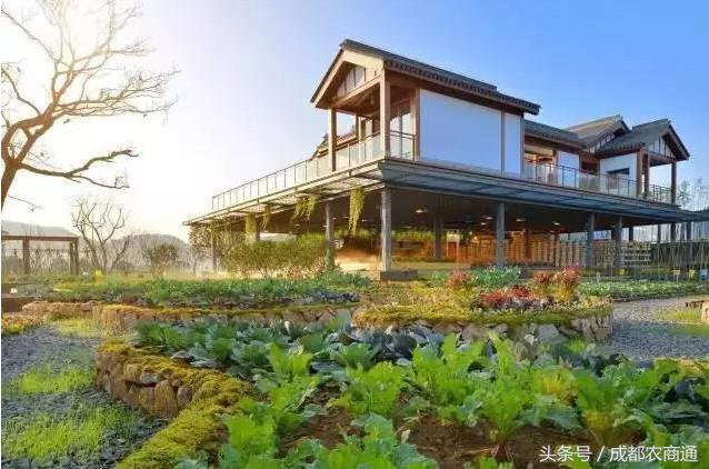 创业门道：国内外都走红的“田园综合体”未来很风光