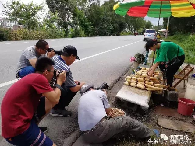 长枪短炮的摄影描述,长枪短炮的摄影器材拍什么好