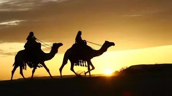 阿拉伯语字母书写与发音,阿拉伯语的书写方式