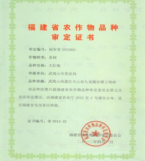 大红袍，不仅仅代表武夷岩茶