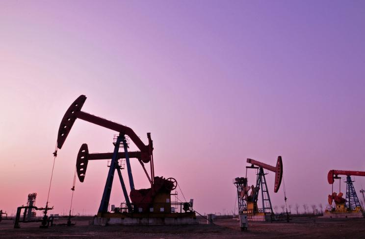 上市邦策略|技多不压身,1600亿市场规模,3民办职业院校登录新三板,挖掘机技术究竟哪家强?