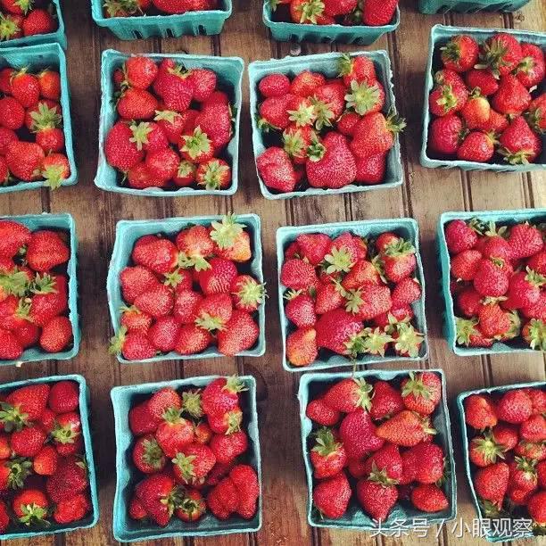 全球十大菜市场,8个全球最著名的菜市场