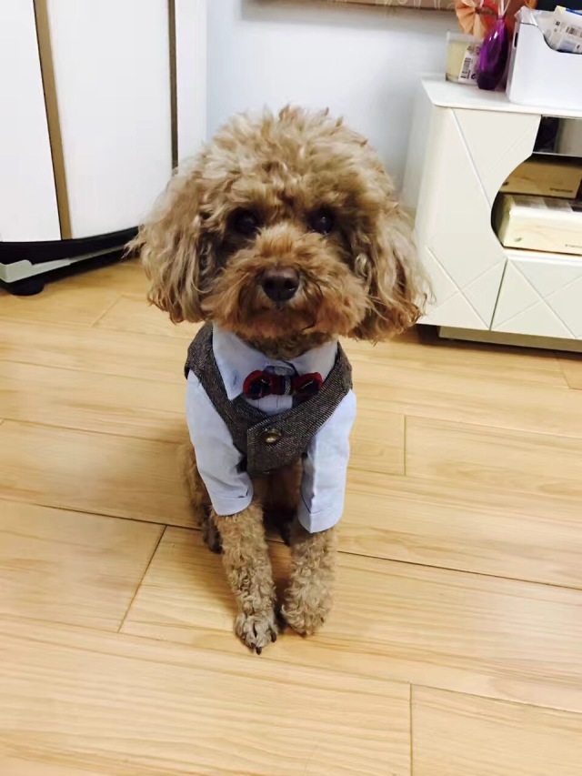 客片故事：没想到真心话大冒险游戏的惩罚，竟然这么快成了真！