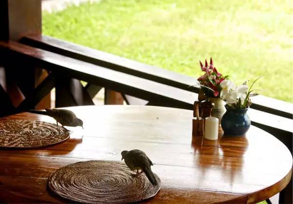 去塞舌尔用不用护照,塞舌尔护照免签国2024