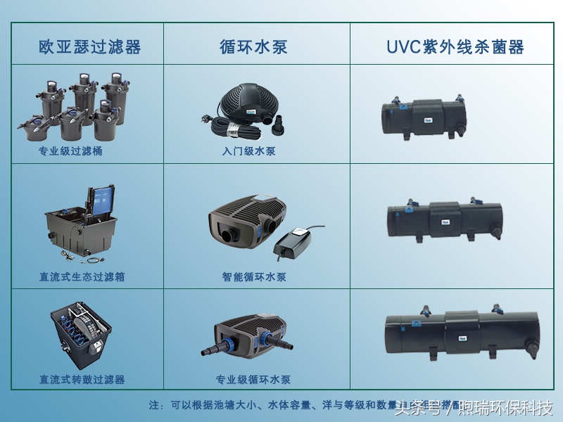 锦鲤鱼池生态循环过滤,锦鲤鱼池过滤系统视频