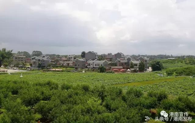 长枪短炮的摄影描述,长枪短炮的摄影器材拍什么好