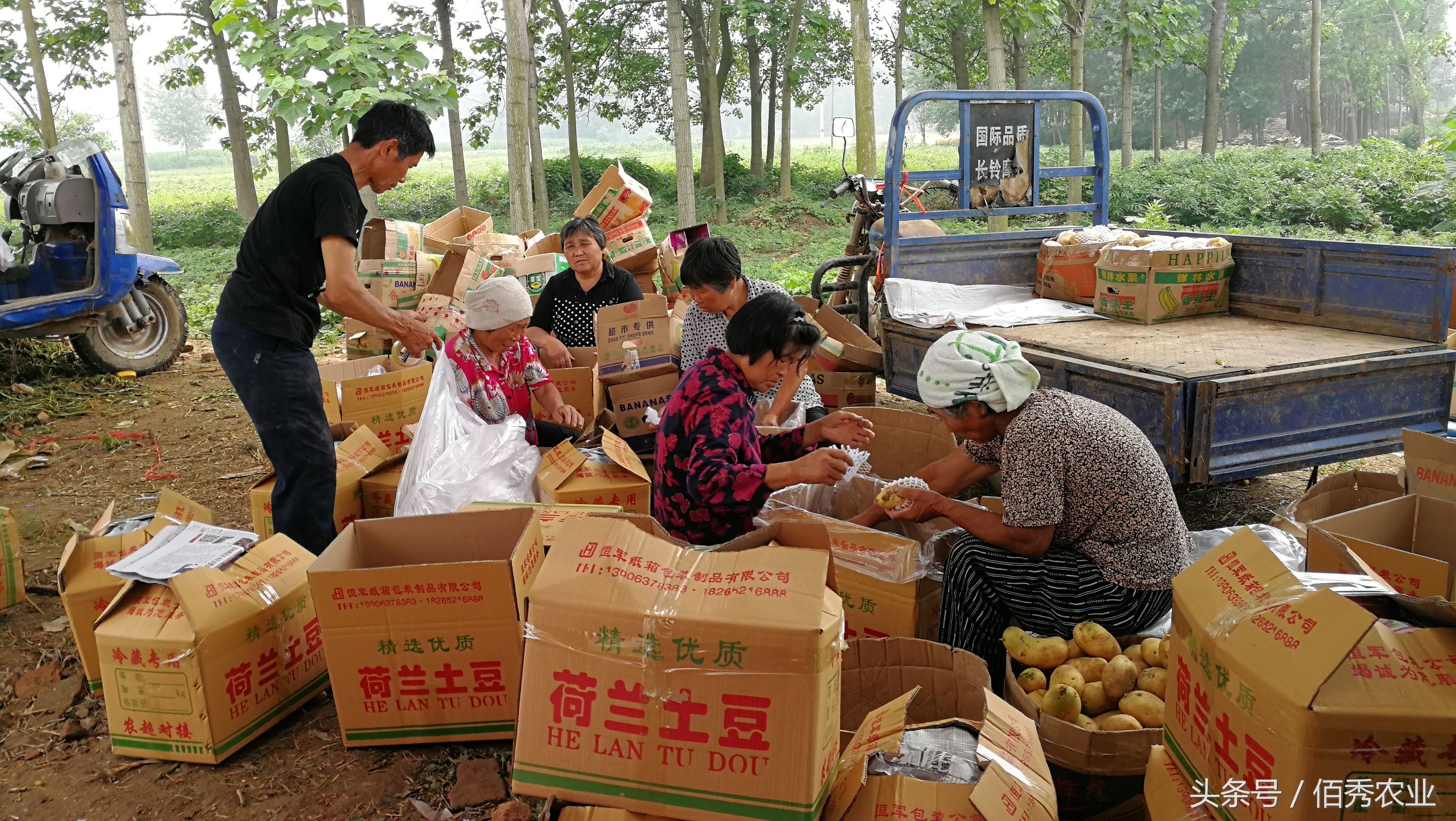 脸红！你在城里享福，父母却在农村做这种事！