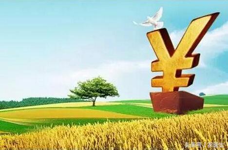 农业种植什么项目前景好挣钱多,农业不赚钱为什么还有人做