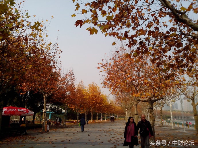 关于我们的网名,那些年我们的网名