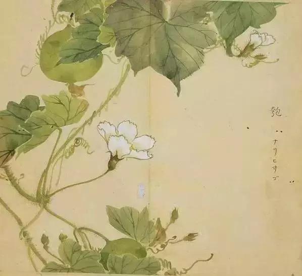 诗经正版书籍推荐,诗经入门书籍当当网