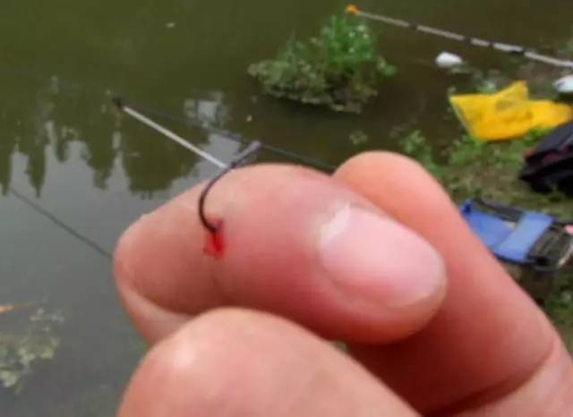 鱼钩刺肉如何处理,倒刺鱼钩钩进衣服怎么办