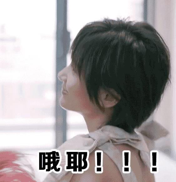 你们放假事情多吗,gucci十五件事