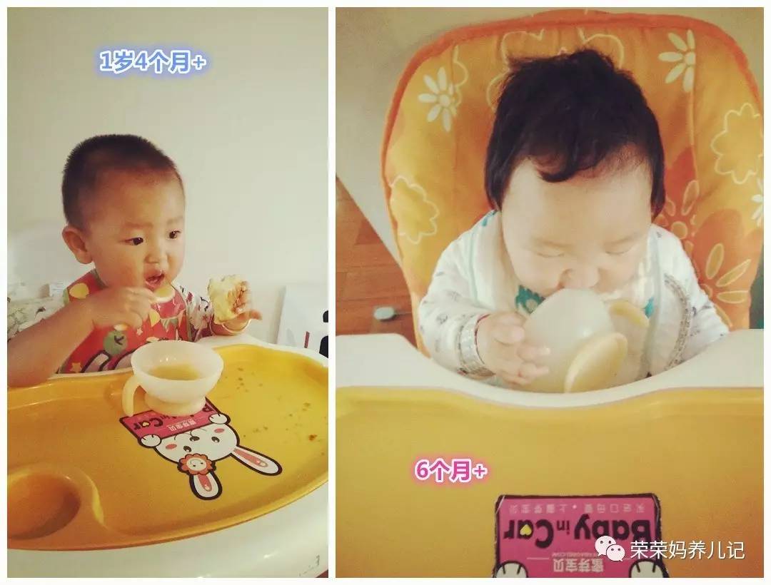 喂一个孩子长大竟然需要用这么多碗?细数各种类型的辅食碗优劣