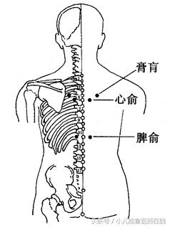 三伏贴都贴哪些穴位,三伏贴适合贴什么穴位呢