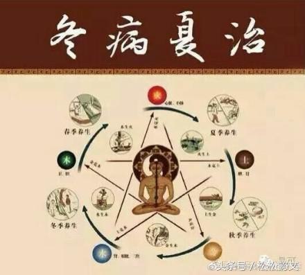 三伏天治疗慢性病是否效果更好,抓住三伏天调理身体的最佳时间