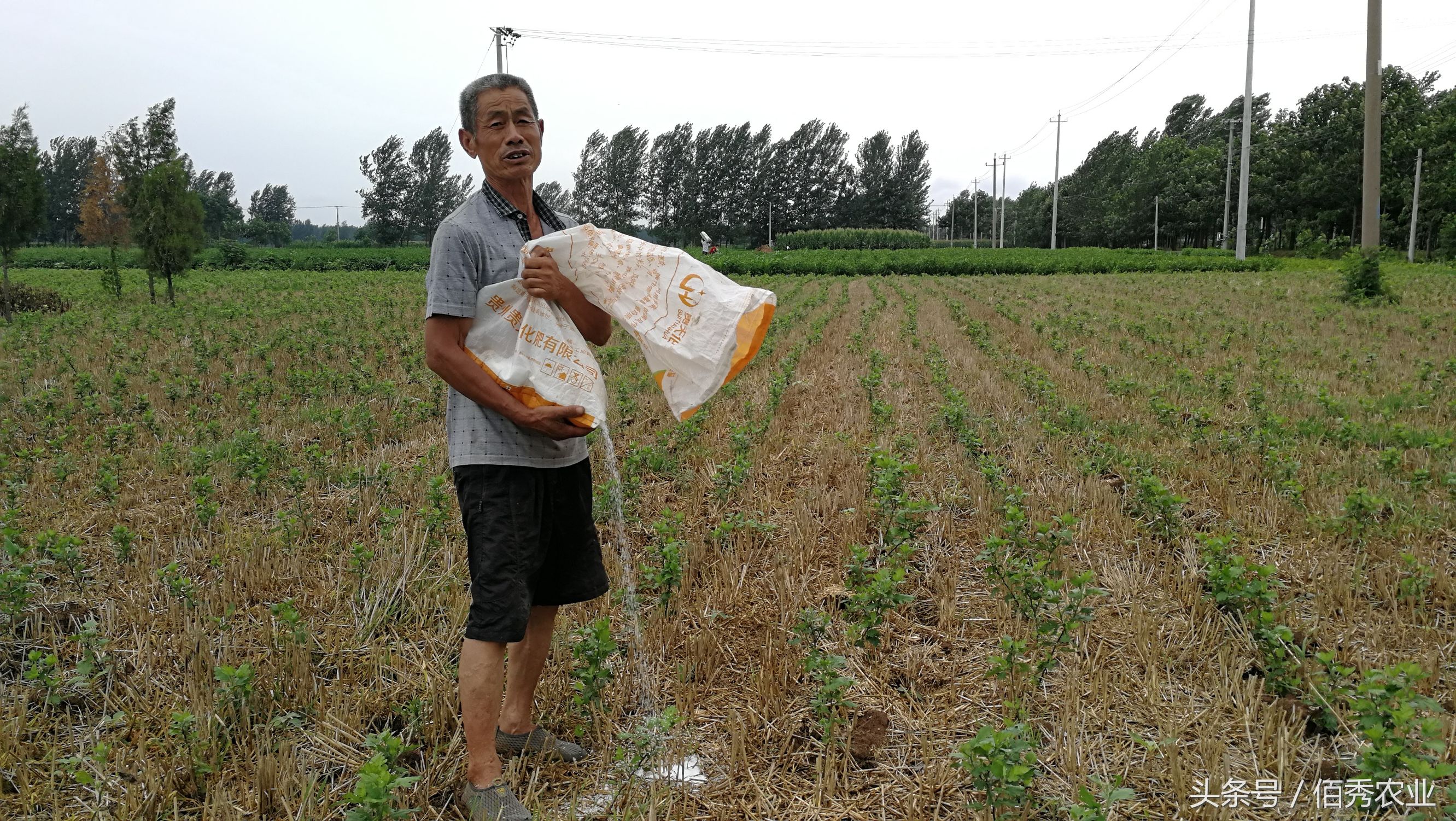 脸红！你在城里享福，父母却在农村做这种事！