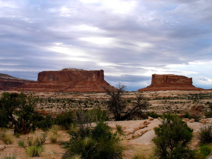 美西大峡谷简介,美国红杉国家公园一日游