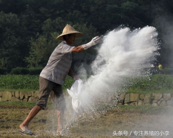 夏天养鸡如何防蚊蝇呢,养鸡场防蚊最好的方法