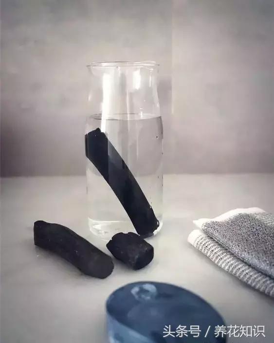 水养一年四季不黄叶的植物,水里加点什么花养得好