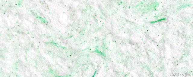 墙衣“三无、*不五**”是什么梗？戳戳看涨姿势……