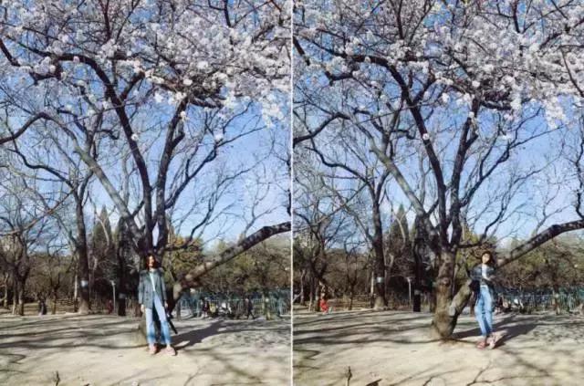 puma蕾哈娜同款鞋 (puma的蕾哈娜穿搭)