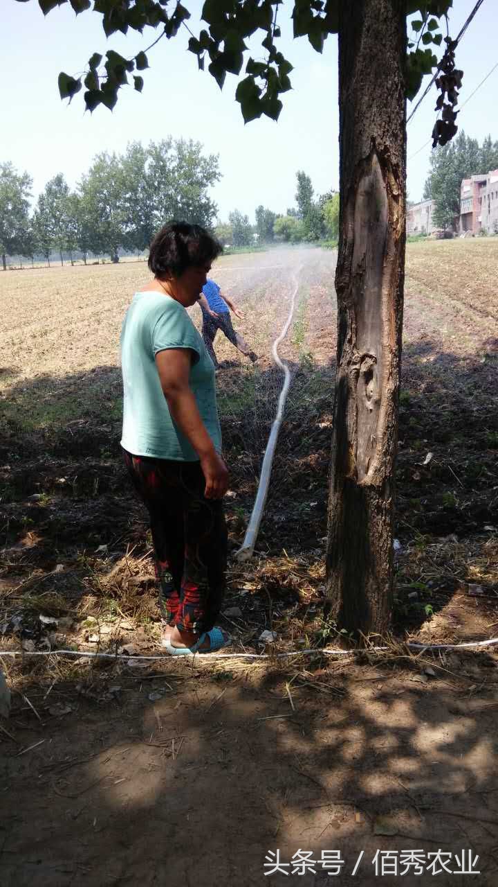脸红！你在城里享福，父母却在农村做这种事！