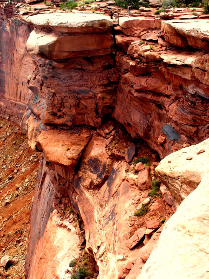 美西大峡谷简介,美国红杉国家公园一日游