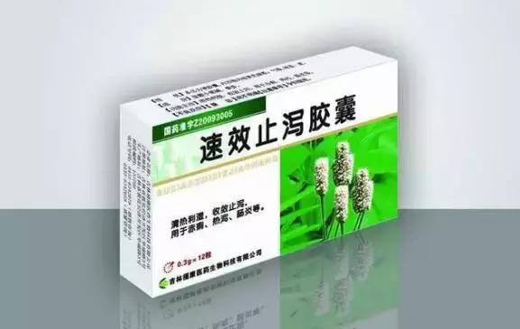 狗狗便血拉稀有几种原因,狗狗又吐又拉稀是什么原因