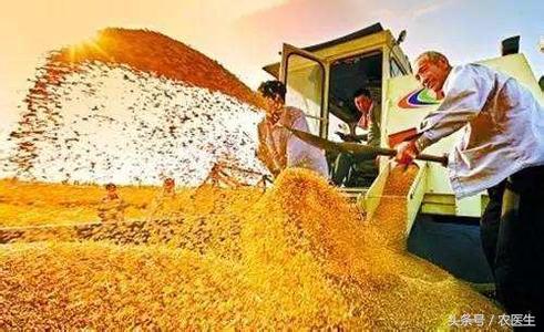 农业种植什么项目前景好挣钱多,农业不赚钱为什么还有人做