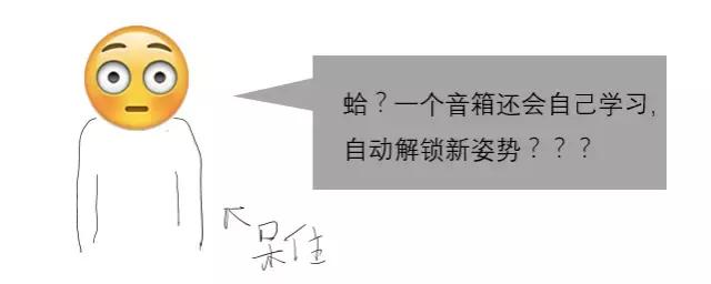淘宝网发展历程给我们的启示,淘宝网的发展历程和现状